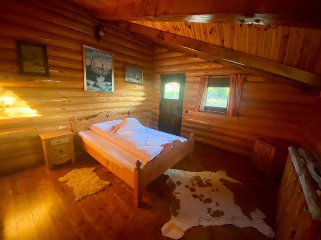 Cabana Vanatorului Rîşnov Εξωτερικό φωτογραφία
