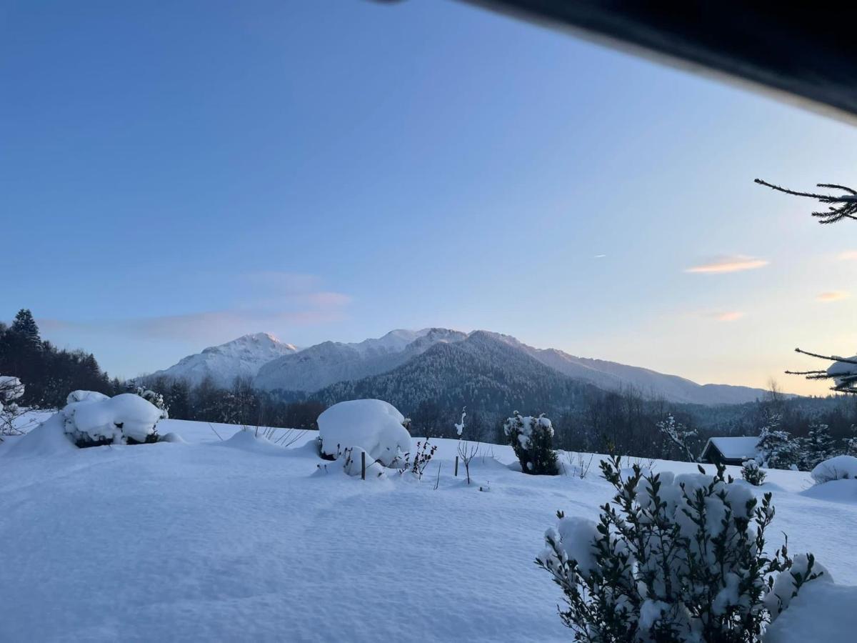 Cabana Vanatorului Rîşnov Εξωτερικό φωτογραφία