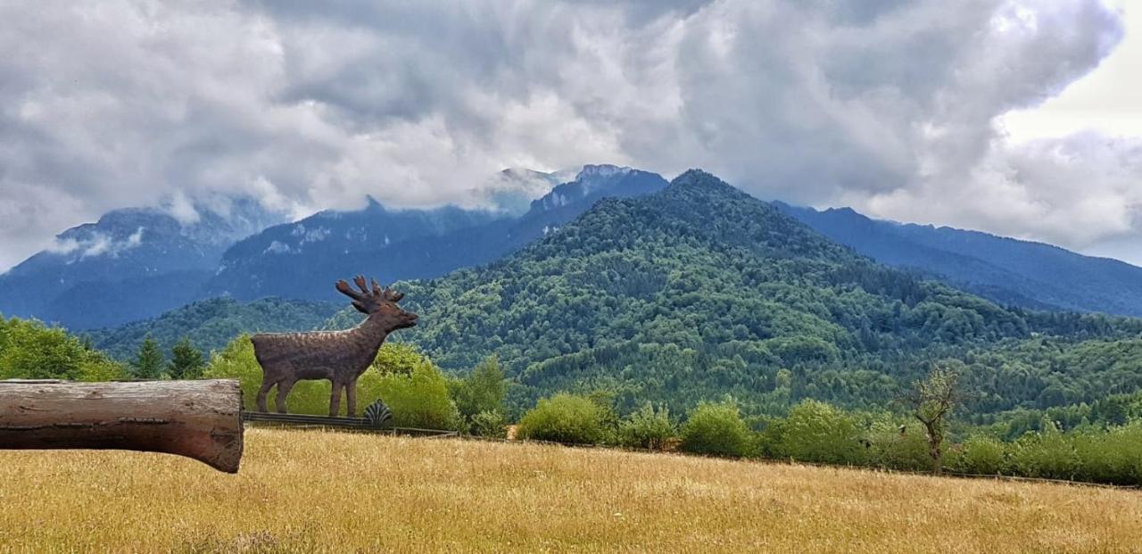 Cabana Vanatorului Rîşnov Εξωτερικό φωτογραφία