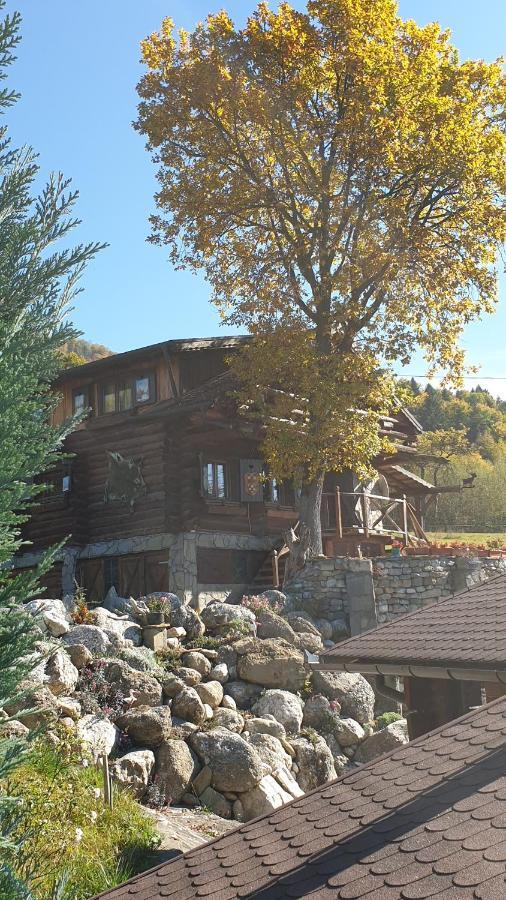 Cabana Vanatorului Rîşnov Εξωτερικό φωτογραφία