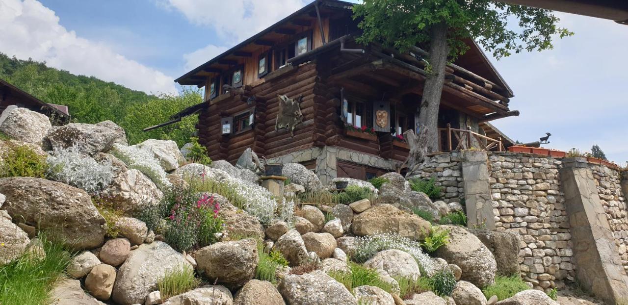 Cabana Vanatorului Rîşnov Εξωτερικό φωτογραφία